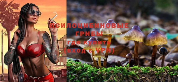 амф Абдулино