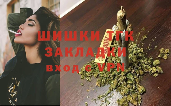 дживик Абинск