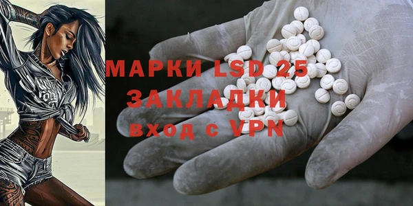 дживик Абинск