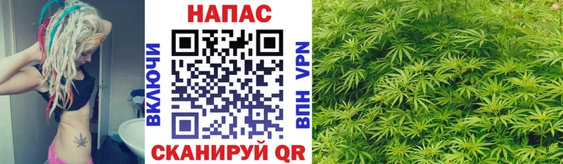 Канабис конопля Калачинск